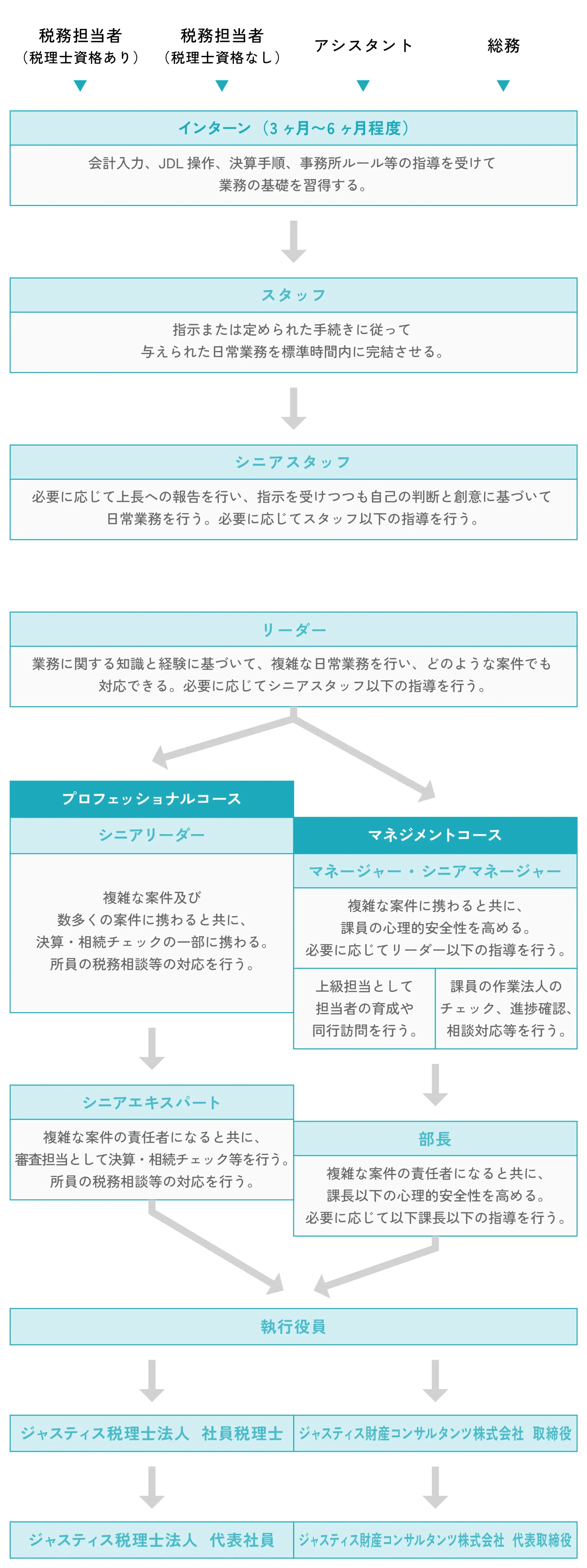 キャリアパス